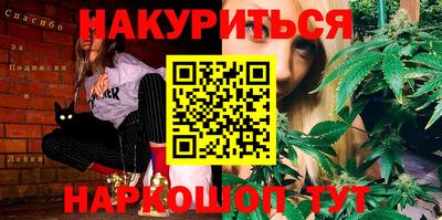 трава Сланцы